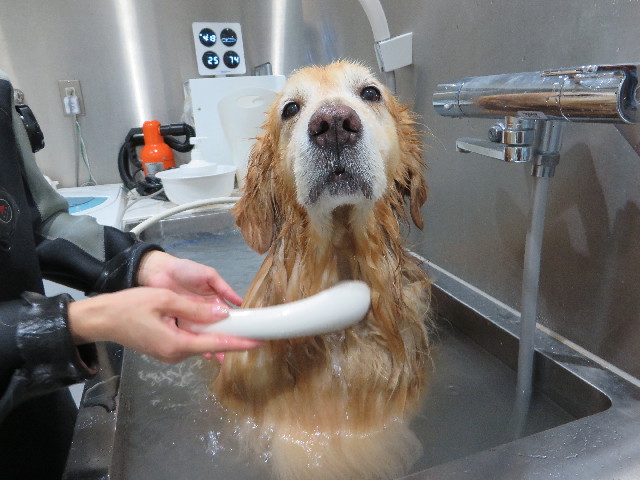 ファイル 5050-5.jpg