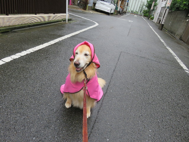 ファイル 5051-1.jpg