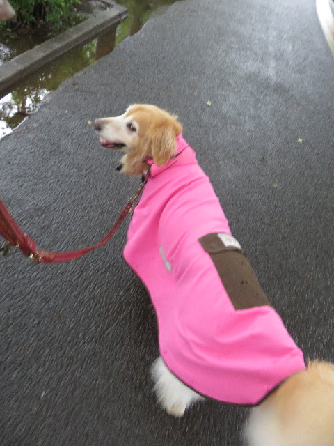 ファイル 5051-4.jpg