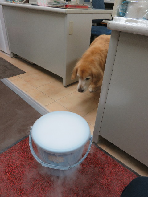 ファイル 5051-5.jpg