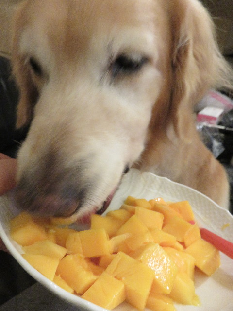 ファイル 5052-1.jpg