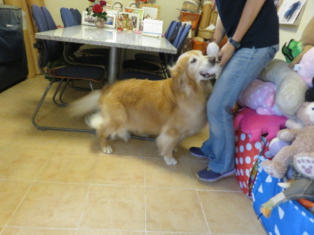 ファイル 5052-2.jpg