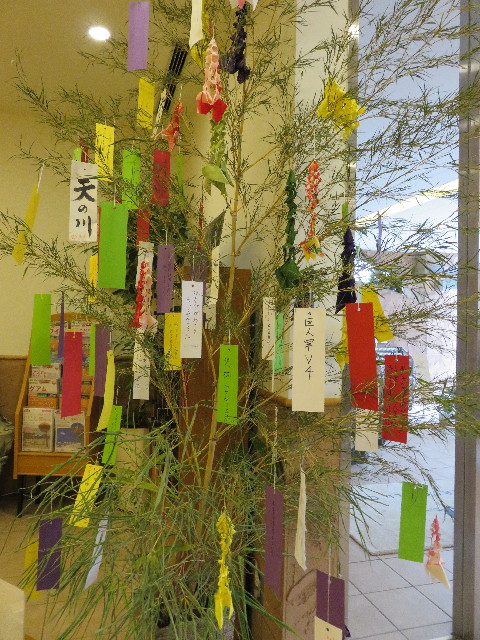 ファイル 5053-2.jpg