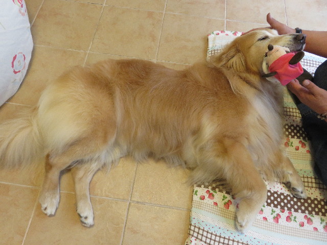 ファイル 5053-5.jpg