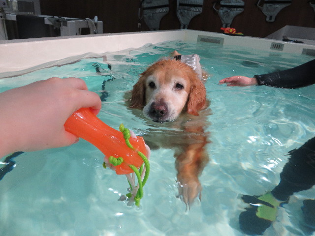 ファイル 5055-3.jpg