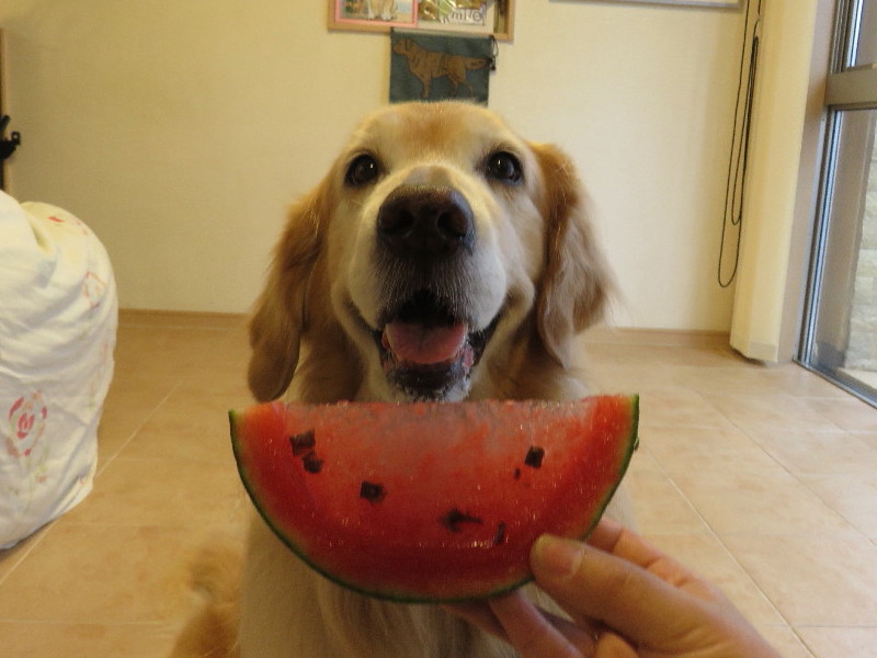 ファイル 5056-2.jpg