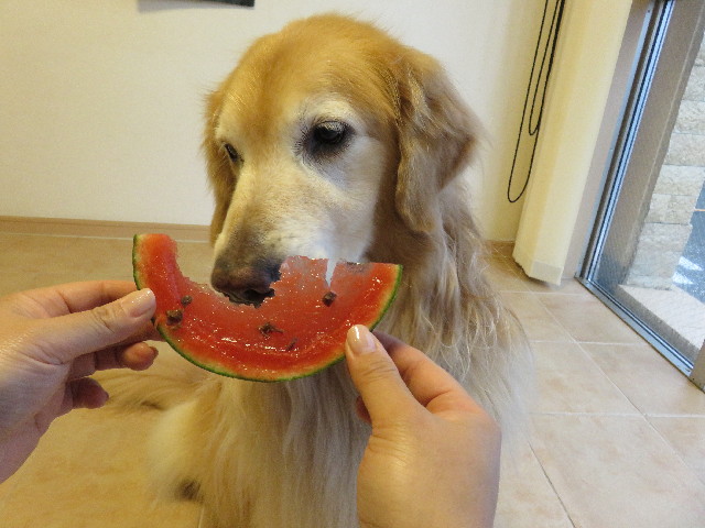 ファイル 5056-3.jpg