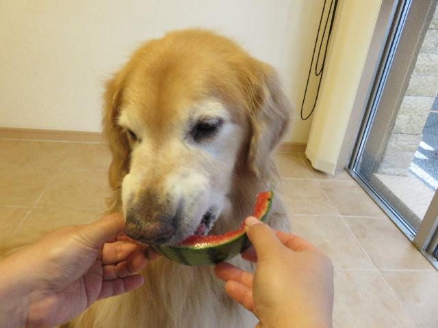 ファイル 5056-4.jpg