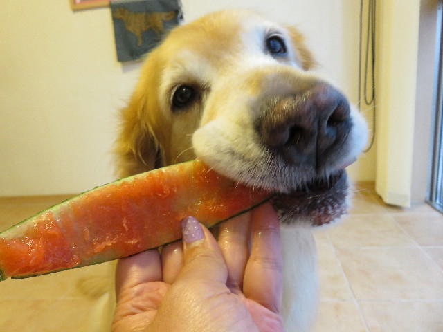 ファイル 5056-5.jpg