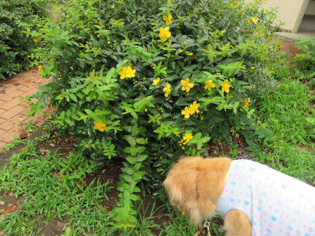 ファイル 5057-5.jpg