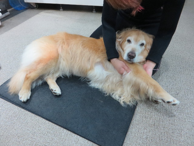 ファイル 5058-1.jpg