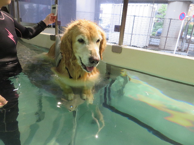 ファイル 5058-2.jpg