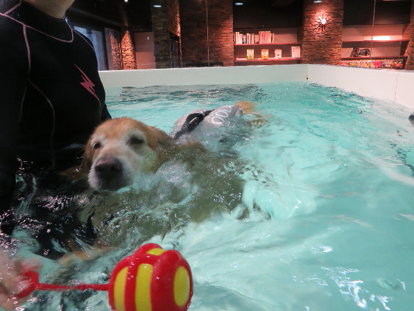 ファイル 5058-4.jpg