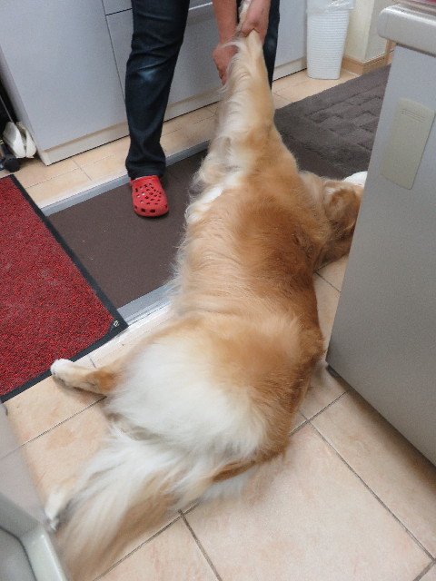 ファイル 5059-1.jpg