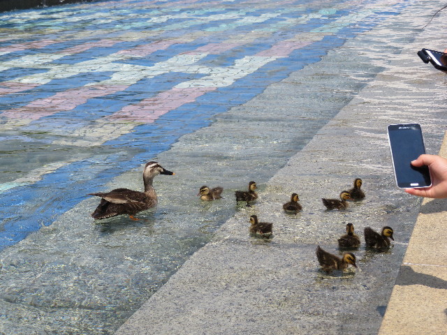 ファイル 5060-3.jpg