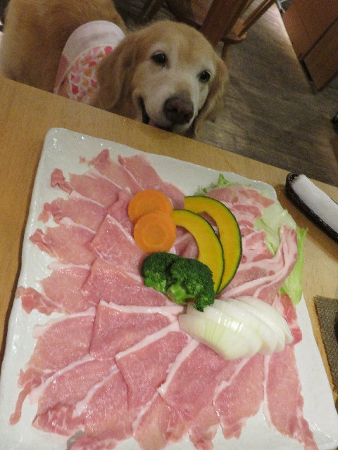 ファイル 5062-1.jpg