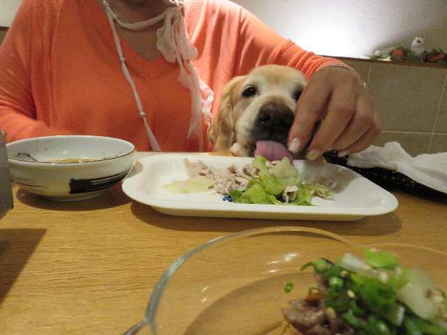 ファイル 5062-3.jpg