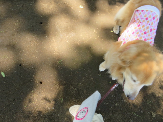 ファイル 5063-1.jpg