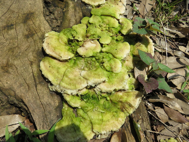 ファイル 5064-3.jpg