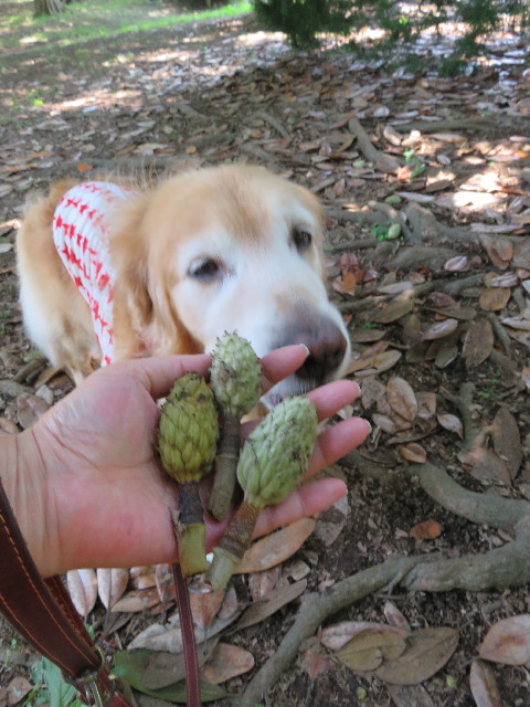 ファイル 5064-4.jpg