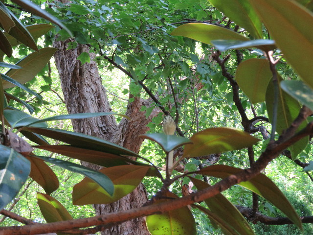 ファイル 5064-5.jpg