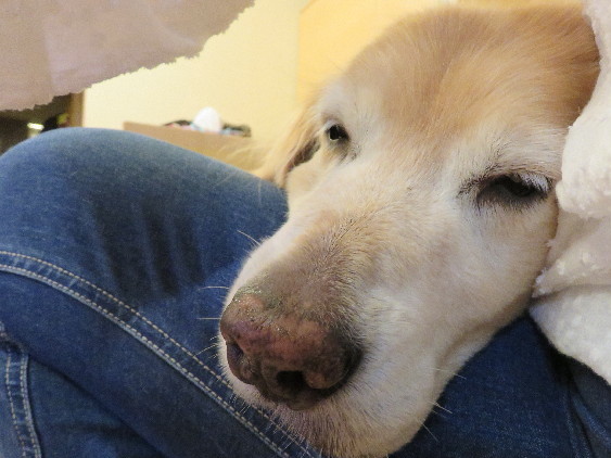 ファイル 5065-4.jpg