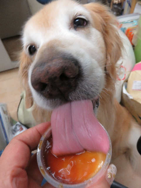 ファイル 5068-5.jpg