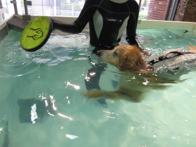 ファイル 5069-3.jpg