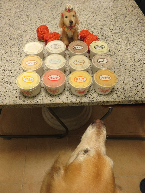 ファイル 5071-1.jpg