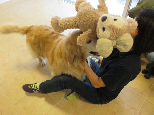 ファイル 5071-5.jpg