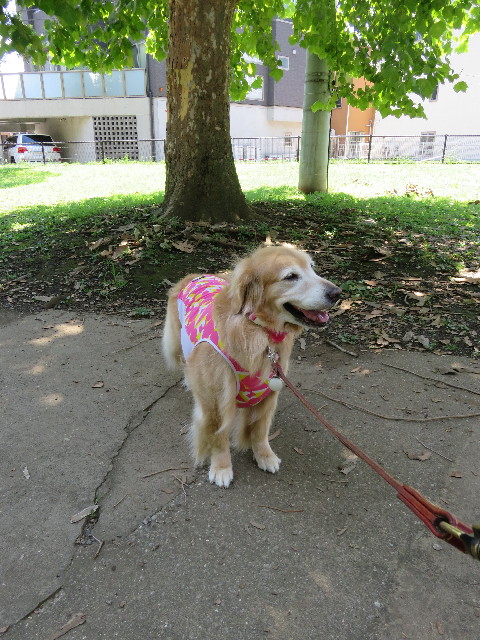 ファイル 5072-2.jpg