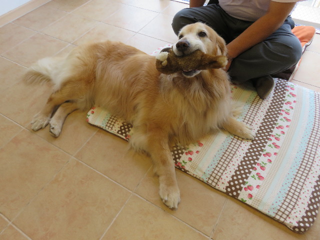 ファイル 5072-3.jpg