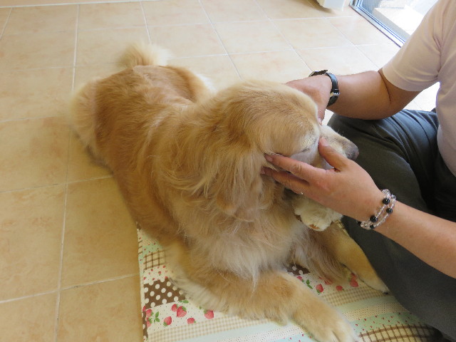 ファイル 5072-4.jpg