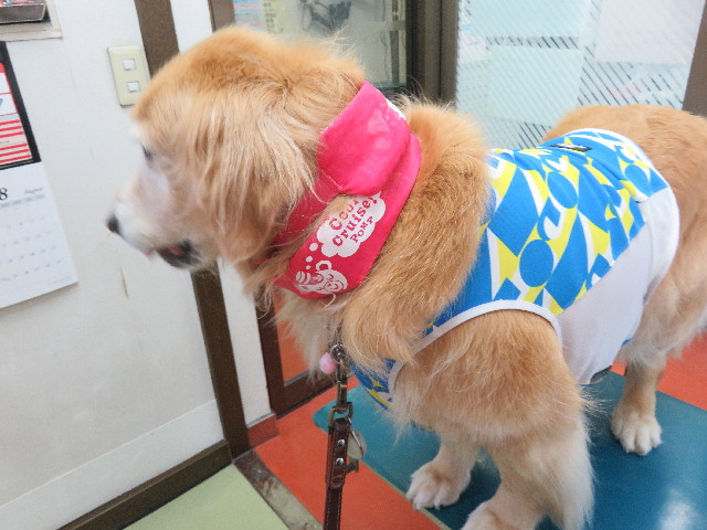 ファイル 5073-2.jpg