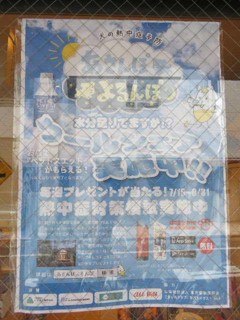 ファイル 5074-1.jpg