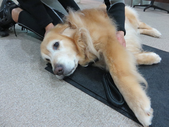 ファイル 5075-1.jpg