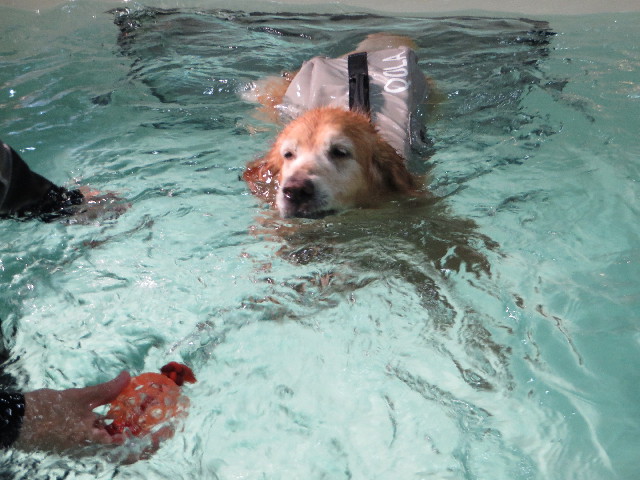 ファイル 5075-3.jpg