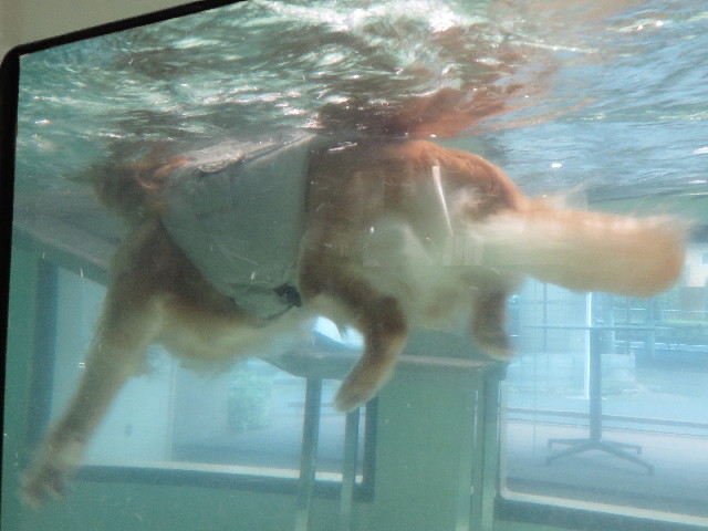 ファイル 5075-4.jpg