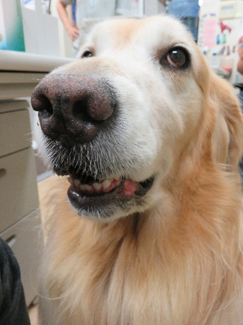 ファイル 5076-1.jpg