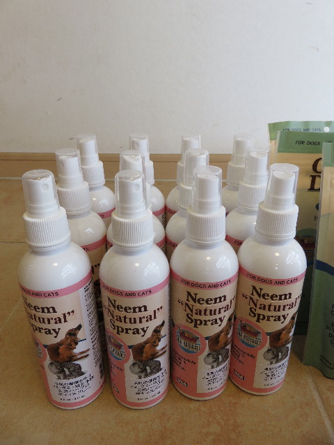 ファイル 5078-4.jpg