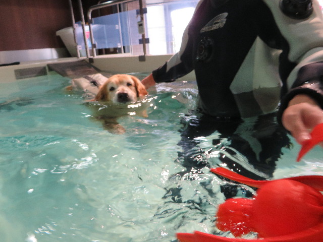 ファイル 5079-1.jpg