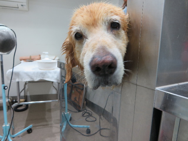 ファイル 5079-5.jpg