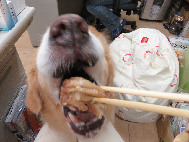 ファイル 5080-2.jpg