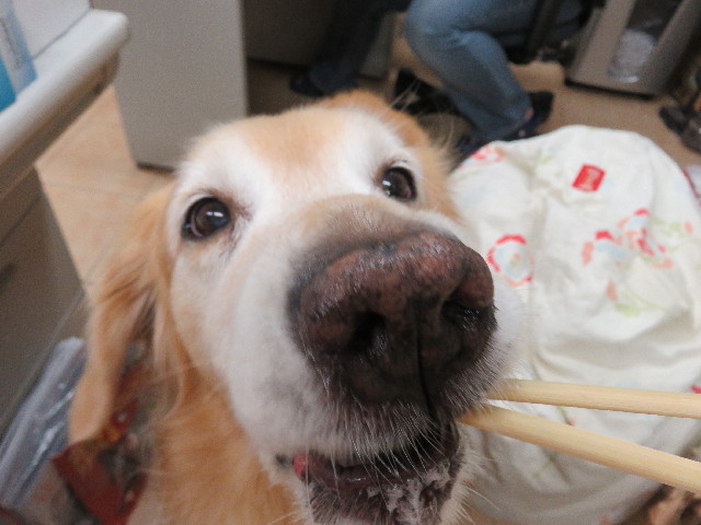 ファイル 5080-3.jpg