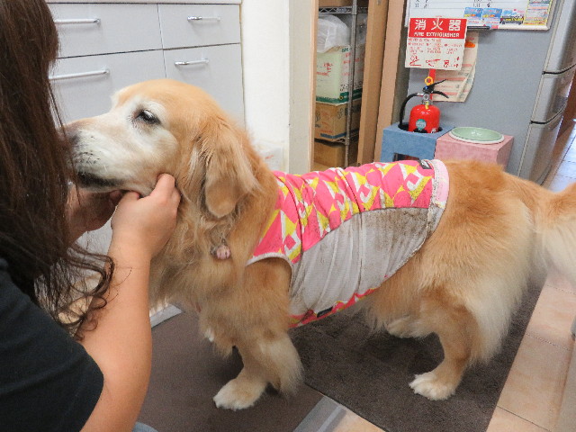 ファイル 5081-4.jpg