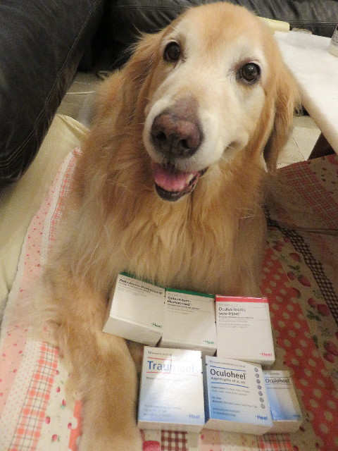 ファイル 5082-5.jpg