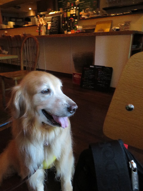 ファイル 5083-1.jpg