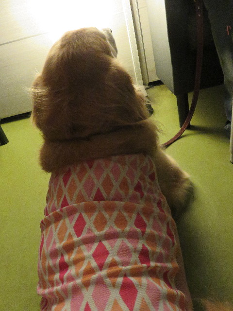 ファイル 5084-5.jpg