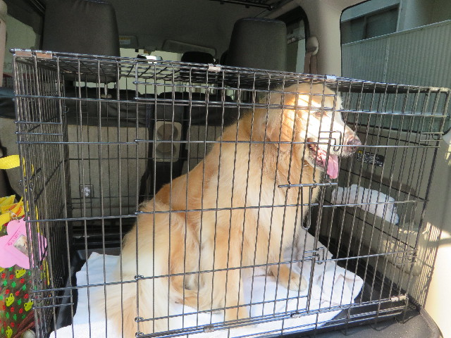 ファイル 5087-2.jpg