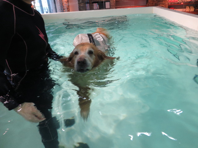 ファイル 5087-4.jpg